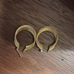 Elegant Gold Hoop Earrings